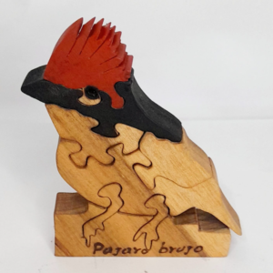 Pajaro Brujo